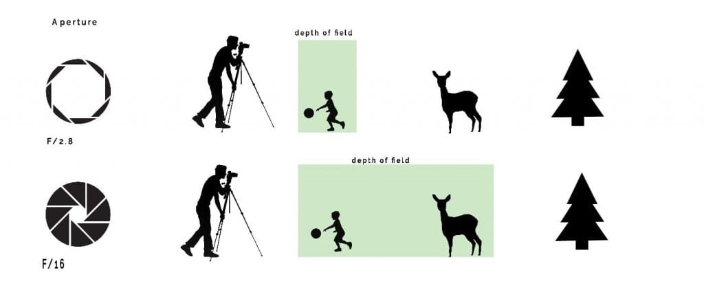 Depth of field (DOF) in relation to aperture and distance.
Tips for sharper landscape photos