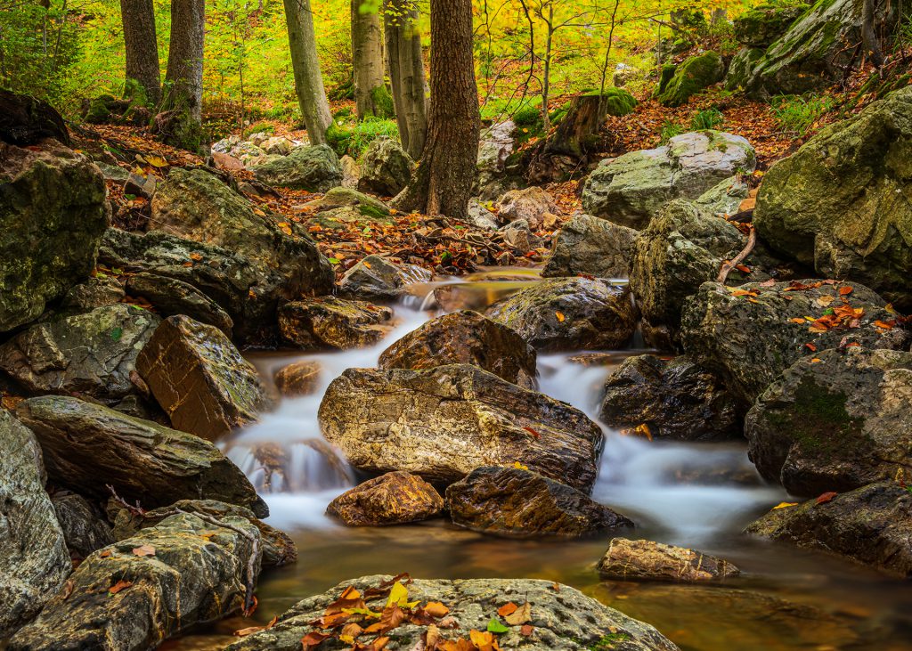 ong exposure landscape photo (13 seconds) with polarisation filter and GND filter in autumnal forest