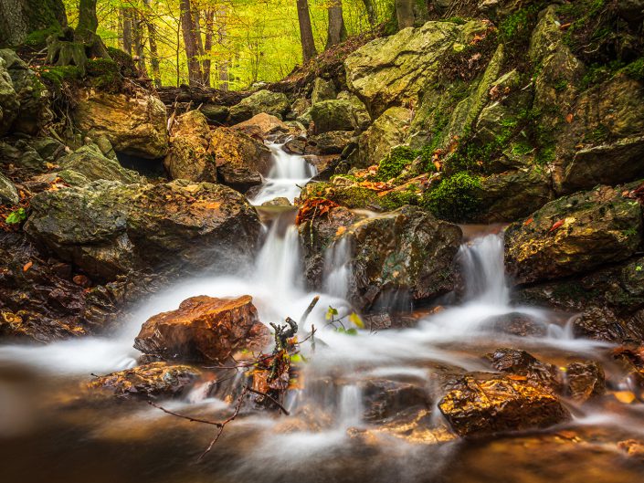 Landscape photo of a continuous flow of water in a gentle stream in the fires near the city of Spa in Belgium