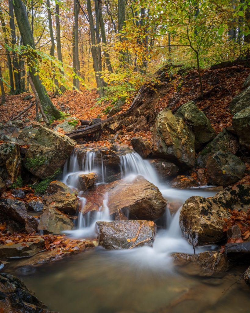 landscape photo with camera low to the water make a rapid look like a waterfall in the autumnal forest of Spa