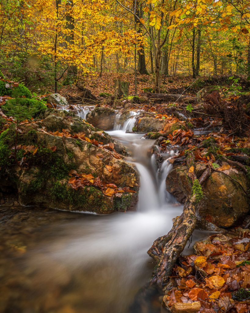 long exposure landscape photo of a little river rapid in the forest of Spa, East Belgium