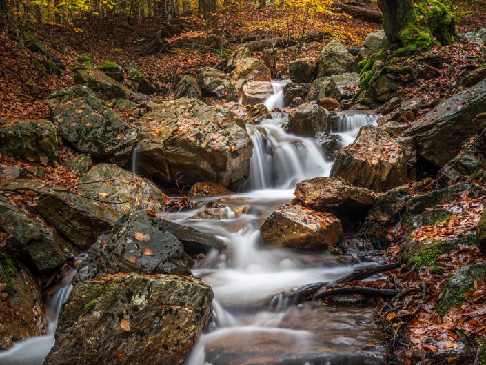 long exposure landscape photo of an  autumnal scene  of a gentle stream in the forest around the city of Spa, Belgium