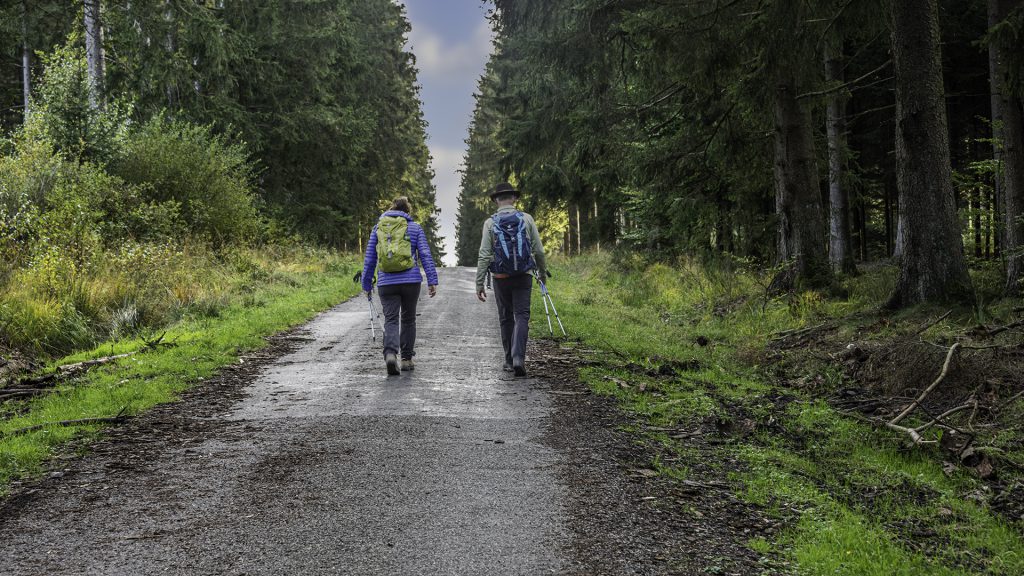 landscape photo with walkers in a forest