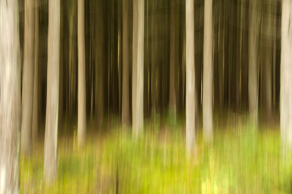 landscape photo with intentional camera movement