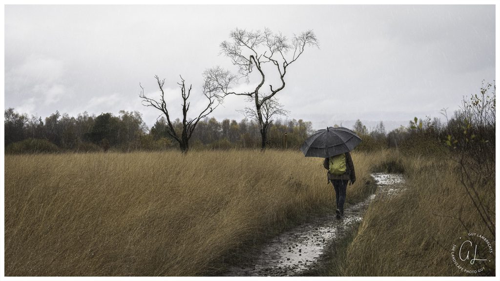 landscape photo of hiker in the pouring rain on the high Fens, (Fagne de Malchamps)