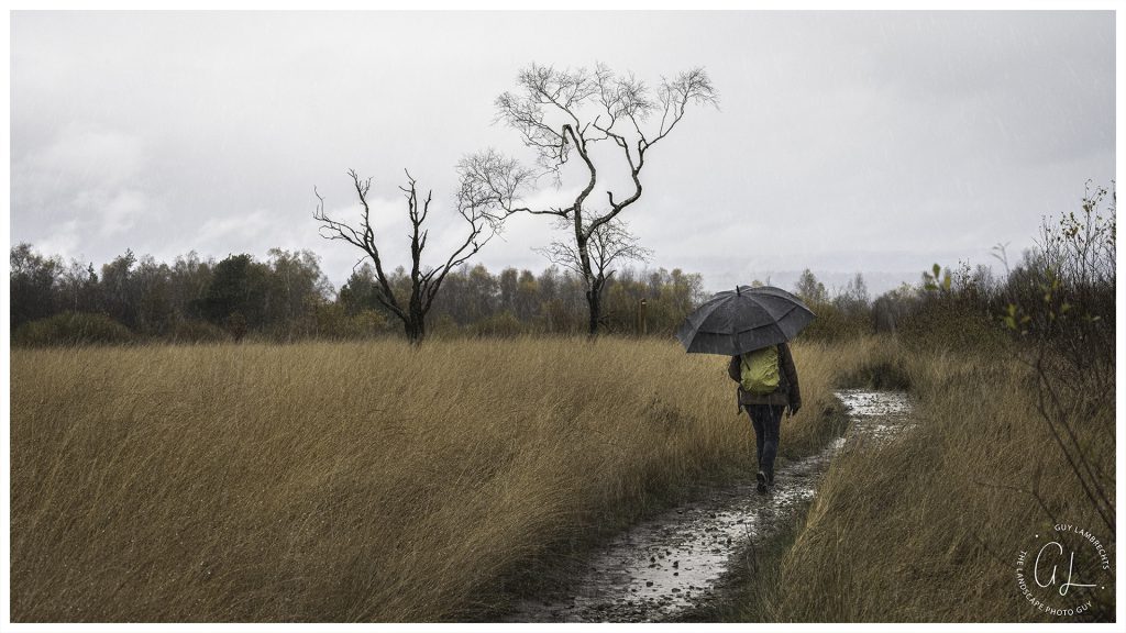 landscape photo of hiker in the pouring rain on the high Fens, (Fagne de Malchamps).
autumn landscape photography tips