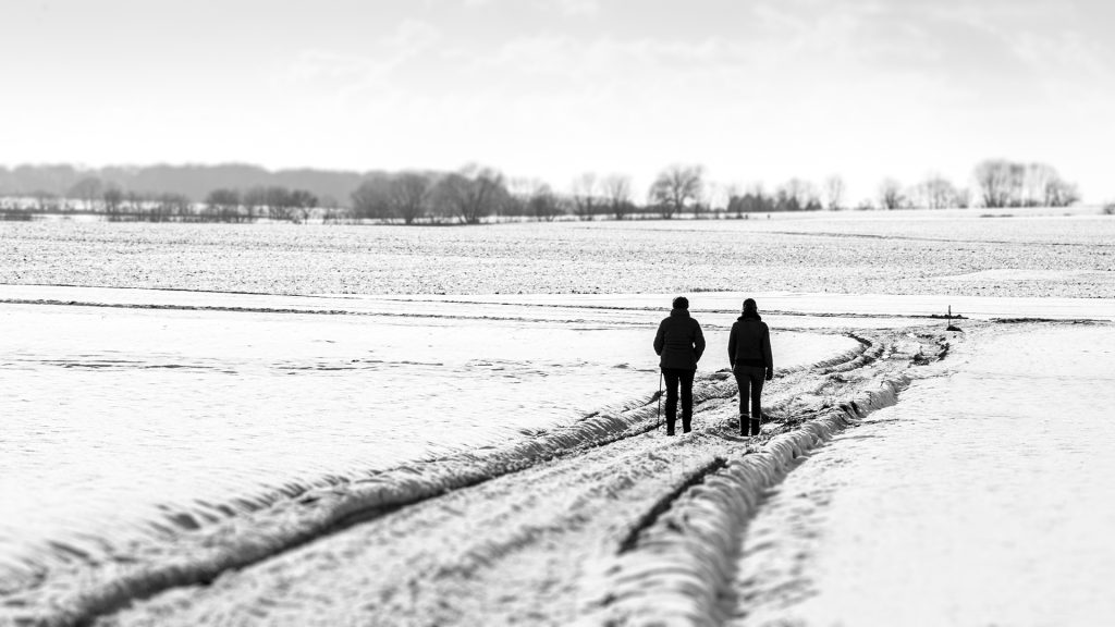 black and white winter landscape photo of a couple of hikers in the snow, Belgium