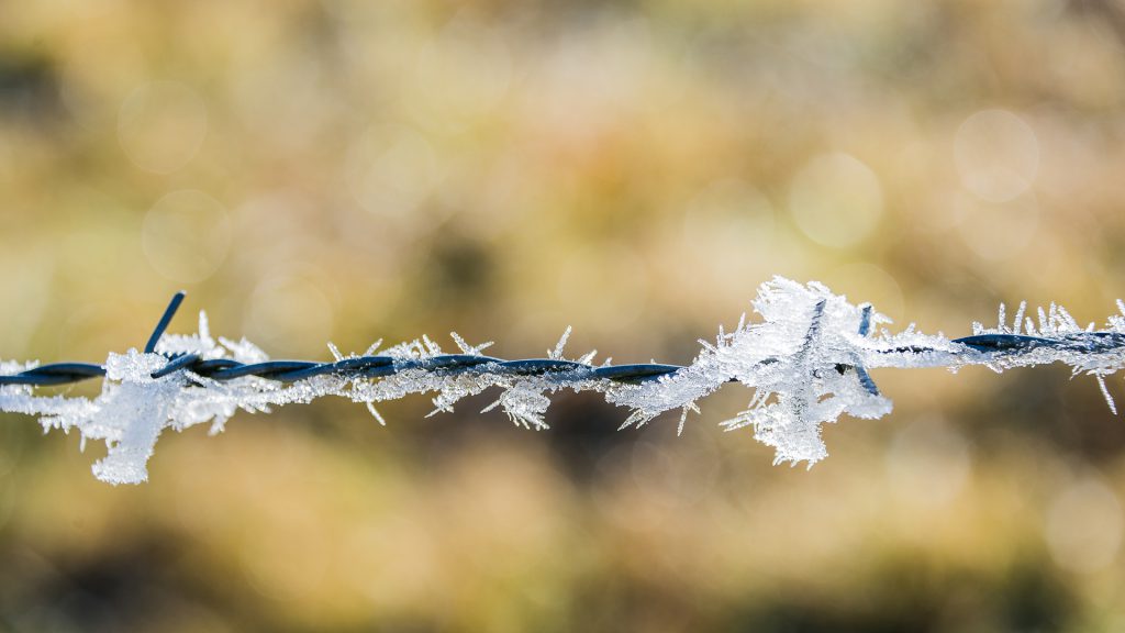 macro shot of ice crystals on barbed wire and bokeh in background