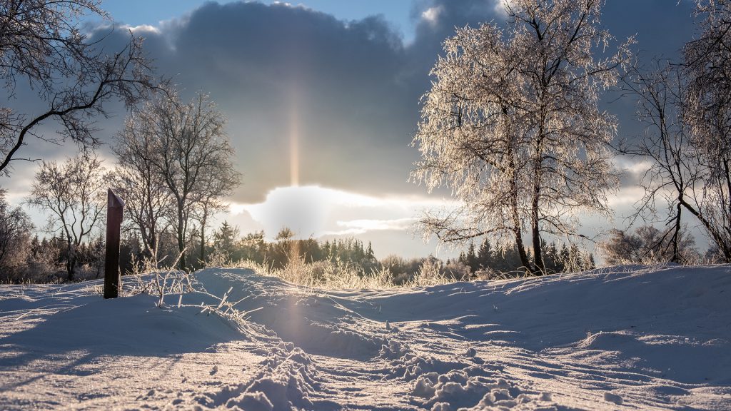 winter landscape photo wiht lens flare of the sun low at the horizon