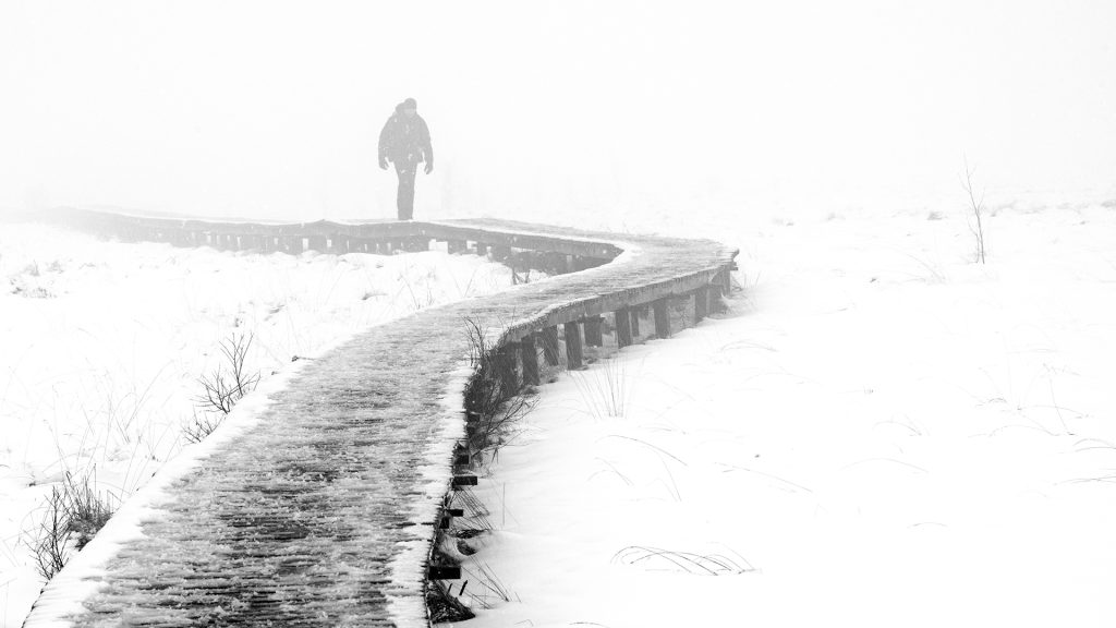 winter landscape photo of a person walking thought the dense mist in a snowy landscape
