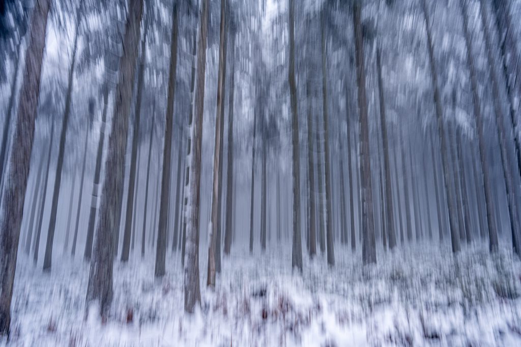 winter landscape photo with intentional camera movement