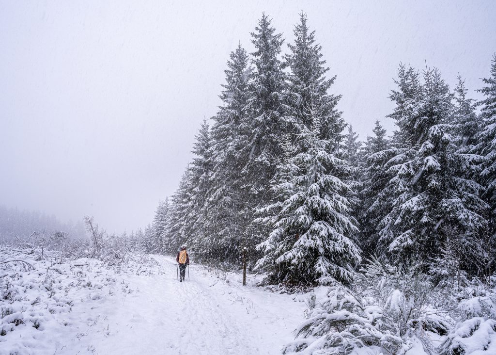 winter snow photo of a walker with yellow backpack along the forest