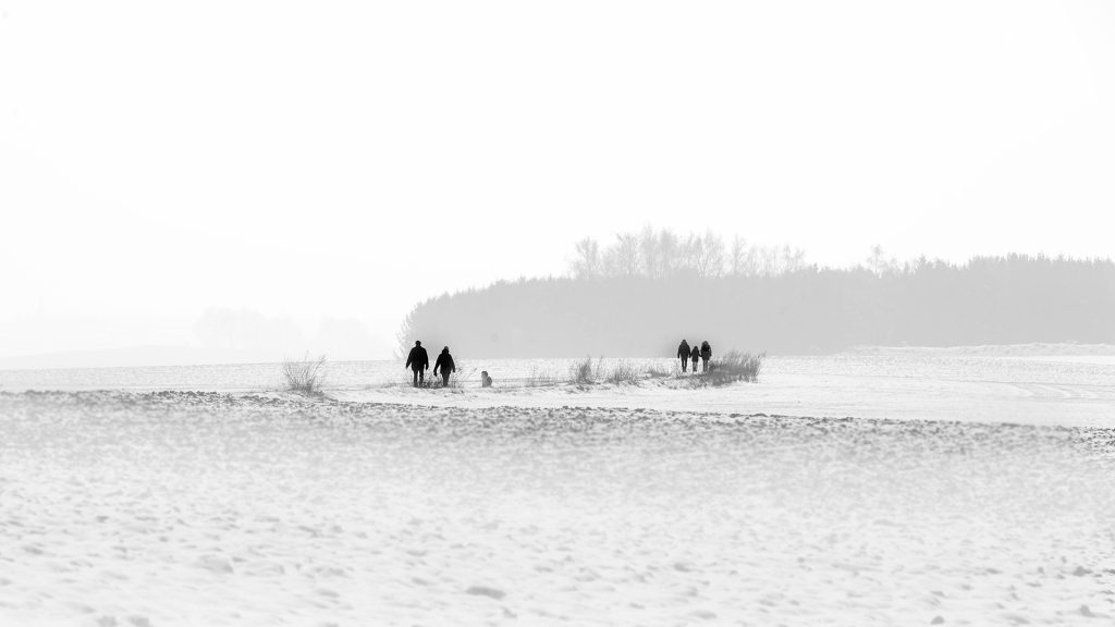 black and white winter landscape photo of walkers in the snow Bierbeek, Belgium,