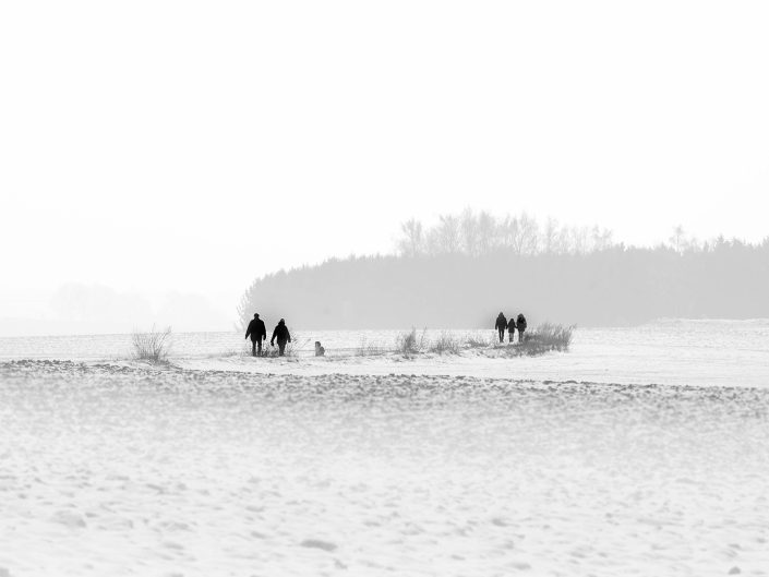 black and white winter landscape photo of walkers in the snow Bierbeek, Belgium,