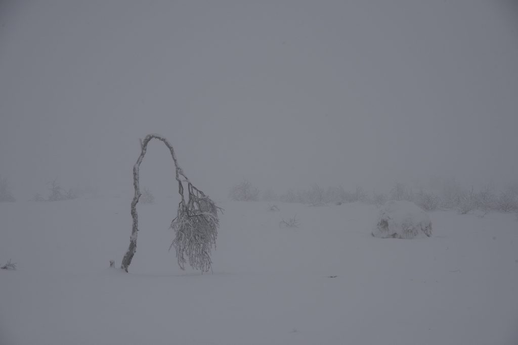 unprocessed winter landscape photo out of camera with wrong white balance