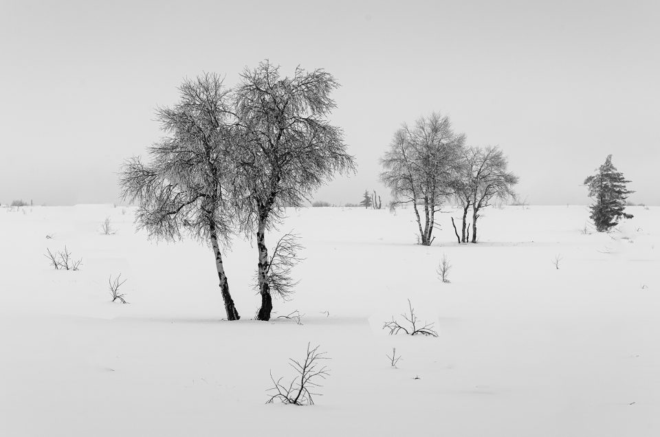 17 Tips for Winter landscape photography