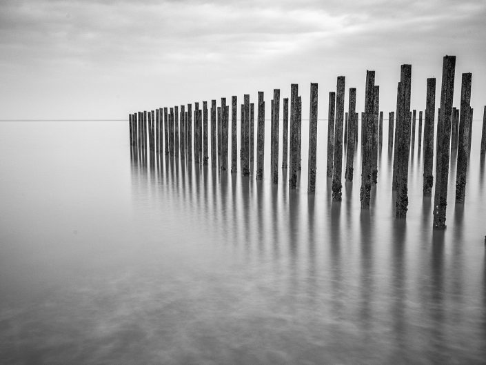 Long exposure black and white shot of Mussel Poles at the Opal coast in North France