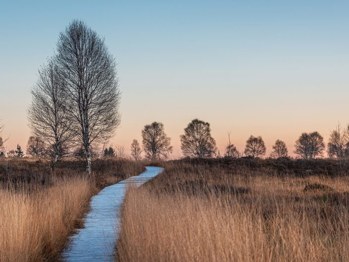 Landscape photo on a cold frosty morning at the High Fenns in East Belgium at sunrise