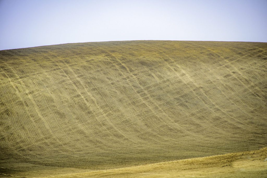 Minimal landscape photo of a ploughed rolling field with an interesting pattern and play of light
