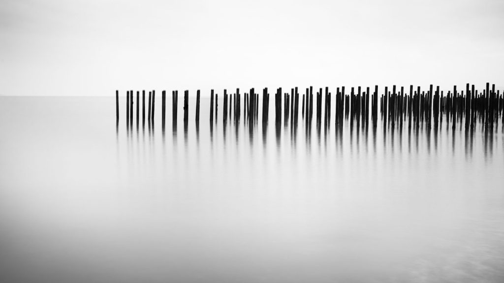 Minimal black-and-white landscape photo long exposure of mussel poles at the Opal Coast in North France