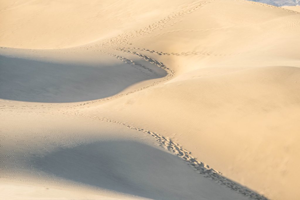 Minimal landscape photo with footprints in the sand of the desert