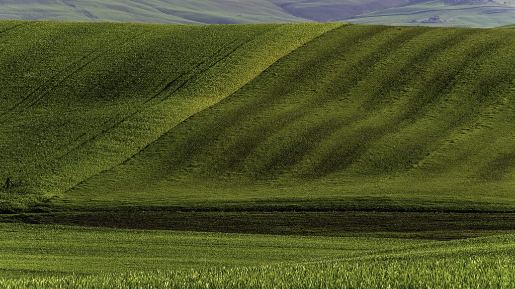 Minimal landscape photo of the rolling landscape in Tuscany with the sun very low on the right side