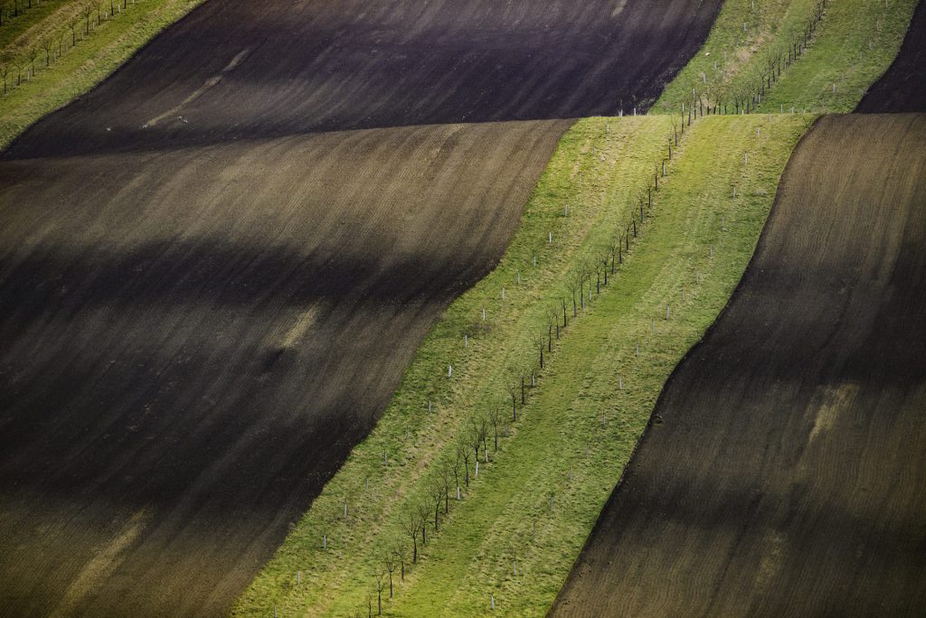 Minimal landscape photo of rolling hills in Moravia