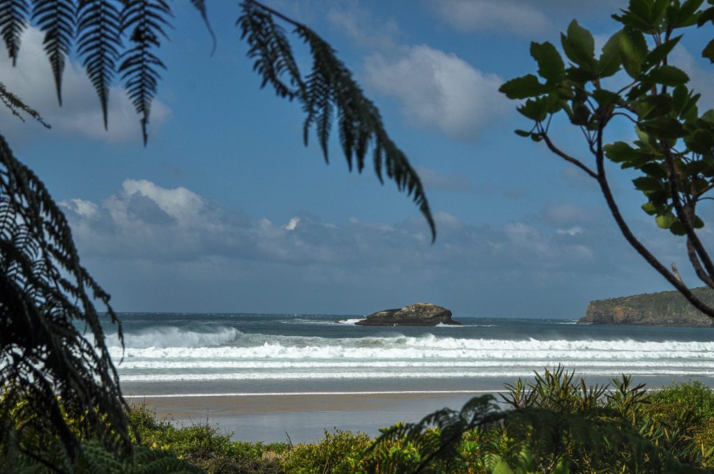 seascape with branches framing the view of a small island