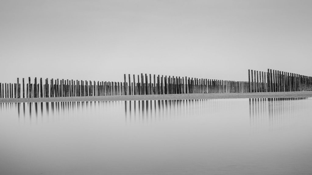 black and white long exposure seascape photo of mussel poles and their reflection