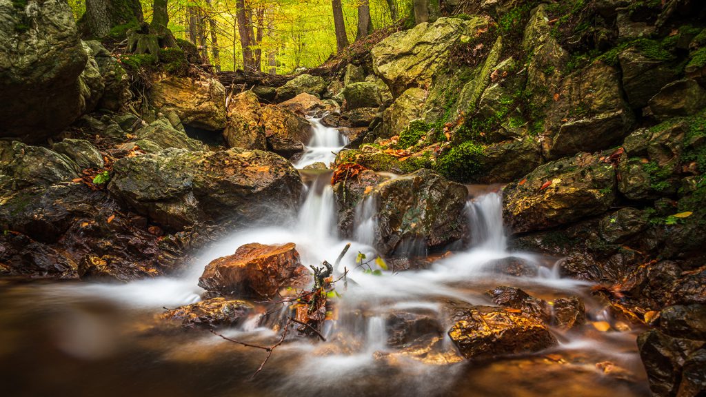 The photograph "Whispers of a Woodland Stream" captures the tranquil flow of a forest stream amidst rugged, moss-covered rocks. A gentle cascade is the focal point, its misty veil lending a dreamlike quality to the scene. Autumn leaves, in various stages of decay, add seasonal hues to the predominantly green and brown palette. Above, the trees form a verdant canopy, hinting at the shift from summer to autumn. The motion blur of the water suggests a timeless flow, contrasting with the stability of the rocks. The extended exposure technique brings a sense of peaceful movement, while the clarity of the surroundings adds depth and texture. Rich, natural colours convey the forest's vibrancy in transition, while a balanced composition guides the viewer's gaze through the scene's elements.