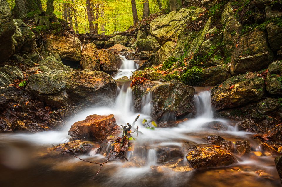 The photograph "Whispers of a Woodland Stream" captures the tranquil flow of a forest stream amidst rugged, moss-covered rocks. A gentle cascade is the focal point, its misty veil lending a dreamlike quality to the scene. Autumn leaves, in various stages of decay, add seasonal hues to the predominantly green and brown palette. Above, the trees form a verdant canopy, hinting at the shift from summer to autumn. The motion blur of the water suggests a timeless flow, contrasting with the stability of the rocks. The extended exposure technique brings a sense of peaceful movement, while the clarity of the surroundings adds depth and texture. Rich, natural colours convey the forest's vibrancy in transition, while a balanced composition guides the viewer's gaze through the scene's elements. 