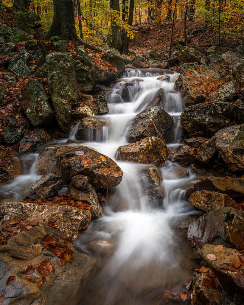 The photograph "Autumnal Veins" depicts a forest brook flowing through a rocky terrain, illuminated by the amber glow of autumn. The slow shutter speed used in the photograph gives a silky texture to the water, which contrasts with the rough edges of the rocks. The autumn leaves, spotted like fire among the grey stones, add to the transient quality of the scene. The photograph captures a moment that showcases nature's quiet grandeur and the passage of time. Light and motion create a dynamic yet harmonious scene that balances movement and stillness.