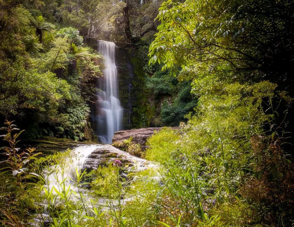 "Whispering Cascade" presents a serene and almost otherworldly depiction of nature's elegance. Centred in the image, the waterfall pours its silky waters from a height framed by abundant greenery. The light filtering through the canopy above lends a soft glow to the water and illuminates the leaves, enhancing the overall ethereal quality of the scene. The slow shutter speed technique here allows the water to appear as a continuous, smooth veil, contrasting beautifully with the crisp texture of the surrounding vegetation. The composition, while slightly central, effectively draws the viewer's eye straight to the waterfall, making it the undeniable focal point of the piece.