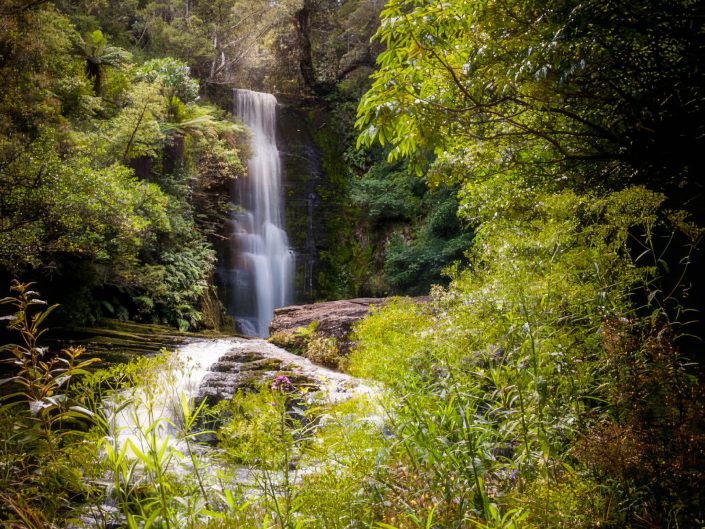 "Whispering Cascade" presents a serene and almost otherworldly depiction of nature's elegance. Centred in the image, the waterfall pours its silky waters from a height framed by abundant greenery. The light filtering through the canopy above lends a soft glow to the water and illuminates the leaves, enhancing the overall ethereal quality of the scene. The slow shutter speed technique here allows the water to appear as a continuous, smooth veil, contrasting beautifully with the crisp texture of the surrounding vegetation. The composition, while slightly central, effectively draws the viewer's eye straight to the waterfall, making it the undeniable focal point of the piece.