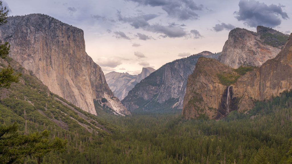 "Majesty of the Valley": This photo showcases the breathtaking Yosemite Valley, captured with a wide lens that embraces its expansive grandeur. The left side of the frame is dominated by El Capitan, a monumental granite monolith that rises starkly against the sky. Its sheer cliff face is a testament to geological time and the forces of nature. To the right, Bridal veil Fall gracefully plummets, its mist catching the light and adding a sense of movement to the stillness of the cliffs. In the distance, the iconic Half Dome can be seen, its distinct shape recognisable even in silhouette. The valley floor is carpeted with a dense forest of pine trees, and their deep greens provide a rich base to the towering cliffs. Overhead, a dramatic sky with clouds tinged by the sun's soft glow because of the late afternoon light offers a dynamic and changing atmosphere to the scene. In this photograph, the choice was not to focus on the waterfall centrally, but it is still an integral part of this expansive view.