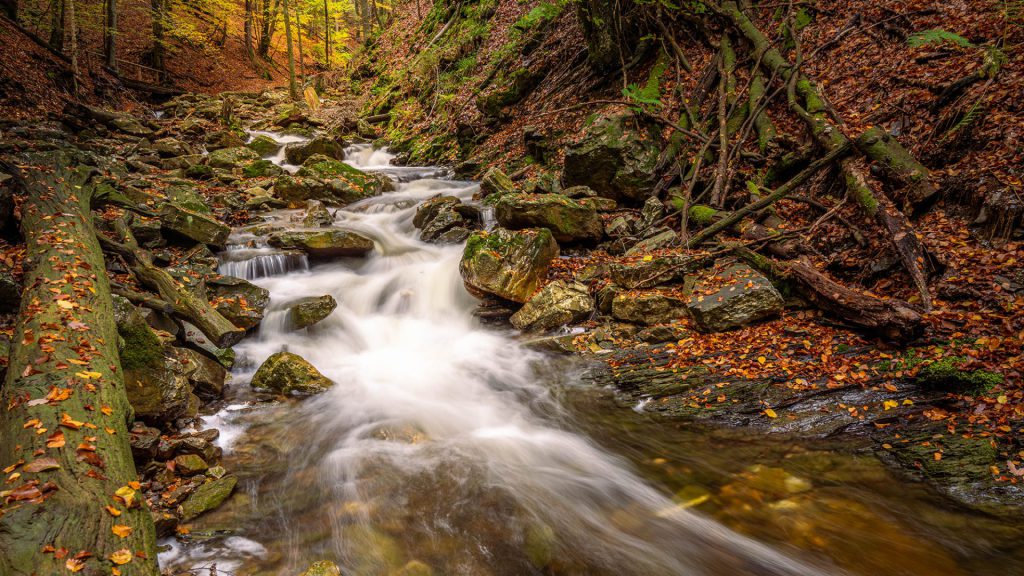 "Autumn Serenade" is a picturesque photograph of a small woodland waterfall surrounded by lush autumn foliage. The camera was positioned low and close to the water's surface, capturing the energetic cascade of water flowing over moss-covered rocks. The soft, diffuse lighting enhances the vividness of the autumn hues and adds an ethereal quality to the tranquil scene. The composition leads the viewer's eye through the image, inviting contemplation and appreciation for nature's beauty.