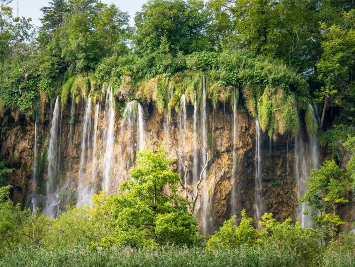 This picture shows a series of waterfalls cascading down a rock face like thin, gentle strips of water. The green foliage covering the top of the rock hangs gracefully over the edge, making the waterfalls look like a natural curtain. The vegetation at the foot of the waterfall creates a lush, vibrant foreground, while the rock wall itself adds rich texture to the composition. The artistic quality of the photograph lies in the way the delicate lines of the falling water are combined with the dense, static elements of the greenery and rocks, creating a balance between movement and stillness. There is balance in the photograph, with the waterfalls placed in the centre, surrounded by symmetrically spaced elements on either side. The lighting is soft and diffuse, adding to the serene atmosphere of the photo.