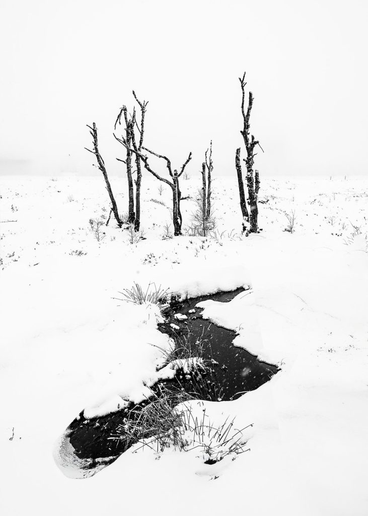 This photograph is a high-contrast composition, with the darkness of the leafless trees standing out defiantly against a blanket of snow. A small, dark pool of water is the only respite from the monochrome landscape, attracting attention and forming a focal point in the otherwise unbroken white. The vertical lines of the bare trees create a subtle rhythm. This winter scene creates a sense of desolation and peace, a frozen moment of nature's stillness. The image exhibits minimalism and contrast and captures the rawness of a winter scene with a sophisticated aesthetic. There is ample negative space, allowing the subjects to stand out clearly and purposefully.
Noir Flohay - minimalist winter photography