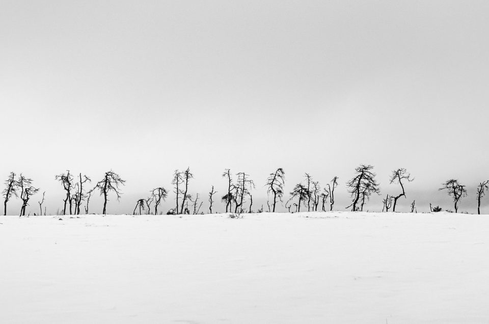 Minimalist winter landscape photography at Noir Flohay