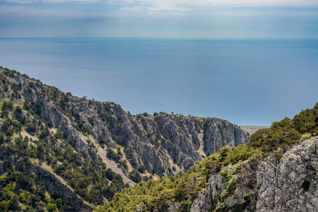 Walking through the Imbros Gorge was out of the question. The picture looks out over the gorge from a mountainside (vantage point along the road), where rugged cliffs cascade down to the silent, distant sea. Scattered across the landscape are pine and cypress trees, softening the ruggedness. On the horizon, the sky fades into the sea, blue into blue. The image exudes a quiet grandeur. The style is realistic, with an eye for colour gradient, stone texture and the rhythm of the mountains. The trees do not dominate the image, but bring life and scale. They endure as silent witnesses of time. They represent strength, resilience and deep grounding.
Travel Photography trip to Crete